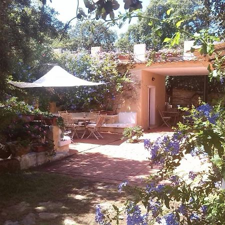 B&B Le Corti Di Aloa San Pantaleo Ngoại thất bức ảnh