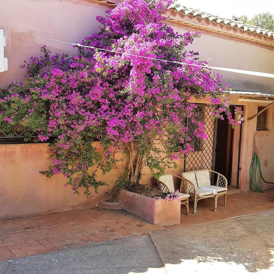 B&B Le Corti Di Aloa San Pantaleo Ngoại thất bức ảnh