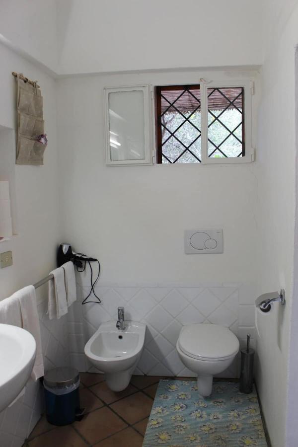 B&B Le Corti Di Aloa San Pantaleo Ngoại thất bức ảnh