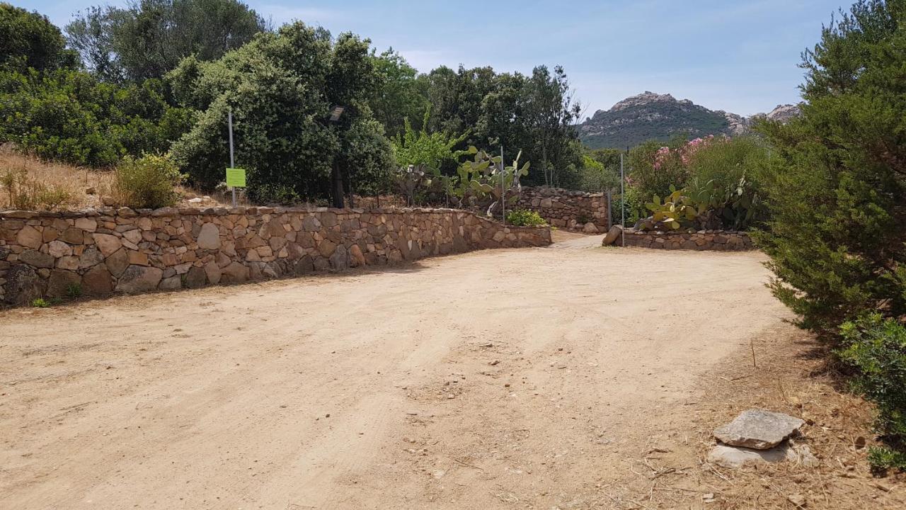 B&B Le Corti Di Aloa San Pantaleo Ngoại thất bức ảnh