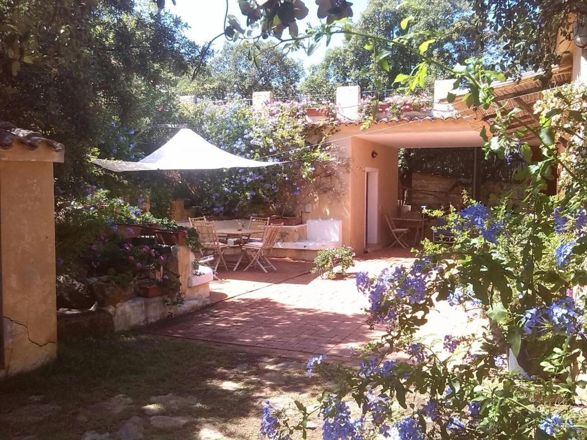 B&B Le Corti Di Aloa San Pantaleo Ngoại thất bức ảnh