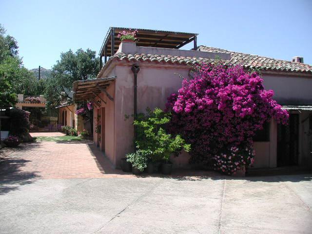 B&B Le Corti Di Aloa San Pantaleo Ngoại thất bức ảnh