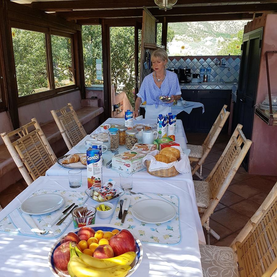B&B Le Corti Di Aloa San Pantaleo Ngoại thất bức ảnh
